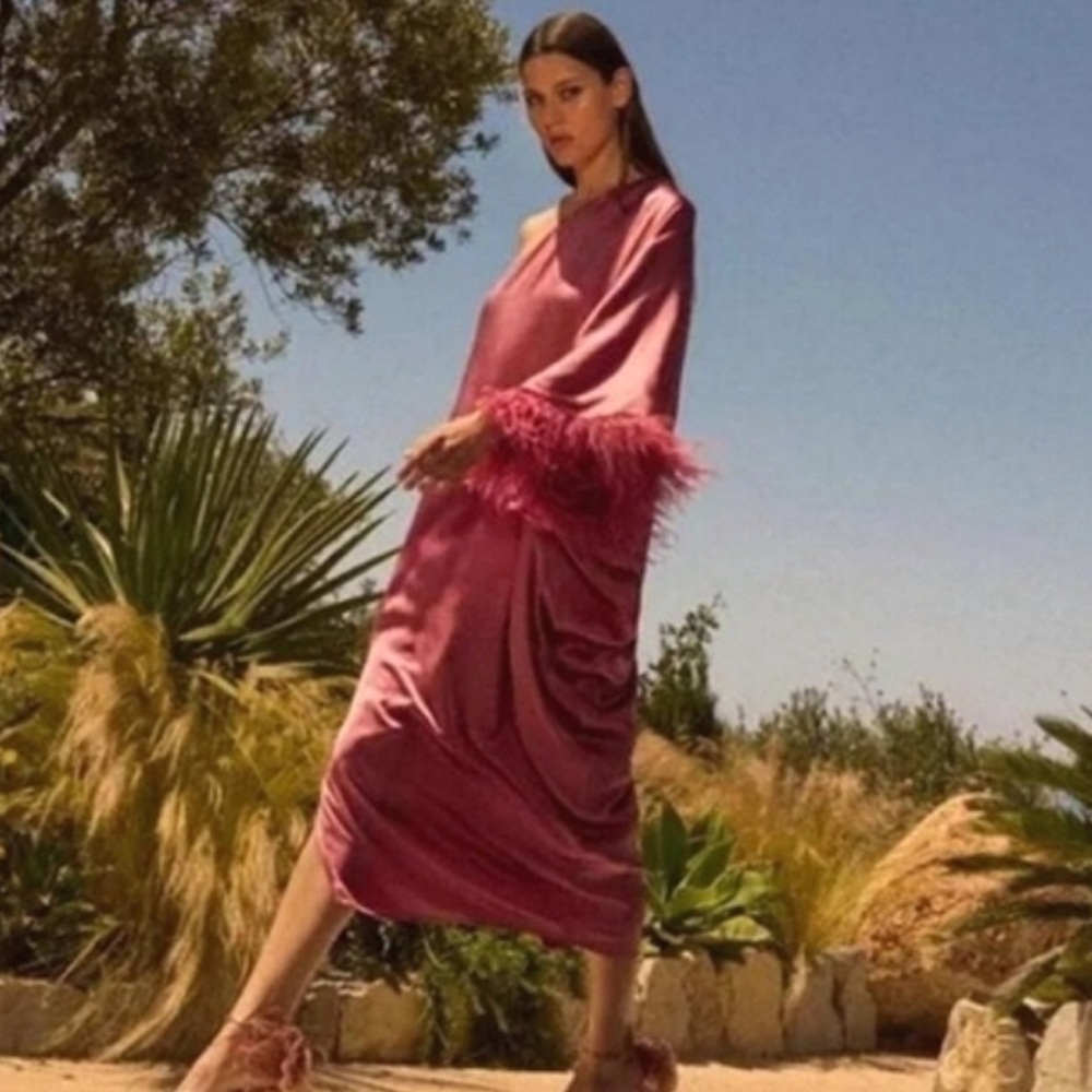 Zara satin feather long dress